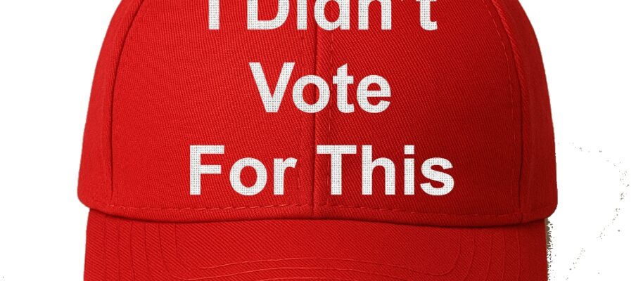 Voter Dissonance and Willful Disbelief