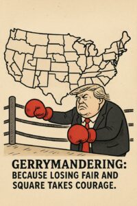 Geryymandering 08