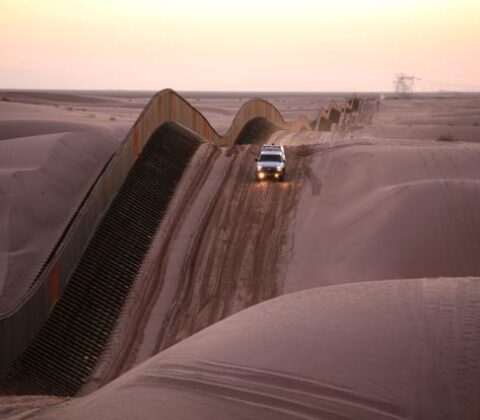 Algodones sand dune fence