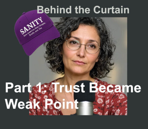 Part 1 Trust Became the Weak Point