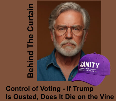 Control of Voting If Trump Is Ousted Does It Die on the Vine