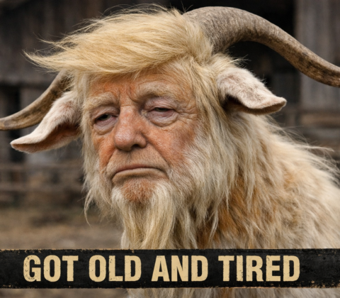 20260305 2136 Image Generation simple compose 01kk0ta3kren6abpz4dc6zjdzw