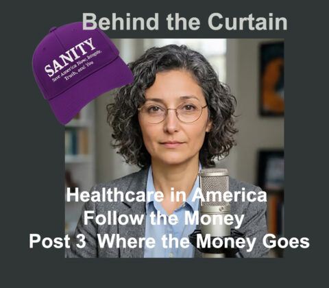 Healthcare in America, Follow the Money Post 3 Where the Money Goes