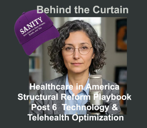 Healthcare in America Structural Reform Playbook Post 6 Technology & Telehealth Optimization
