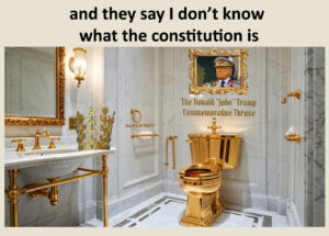 Constitution