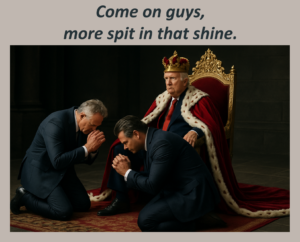 Shine