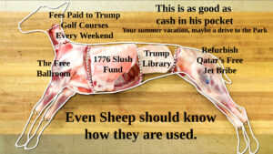 Bonappetit how to butcher an entire lamb every cut of meat explained