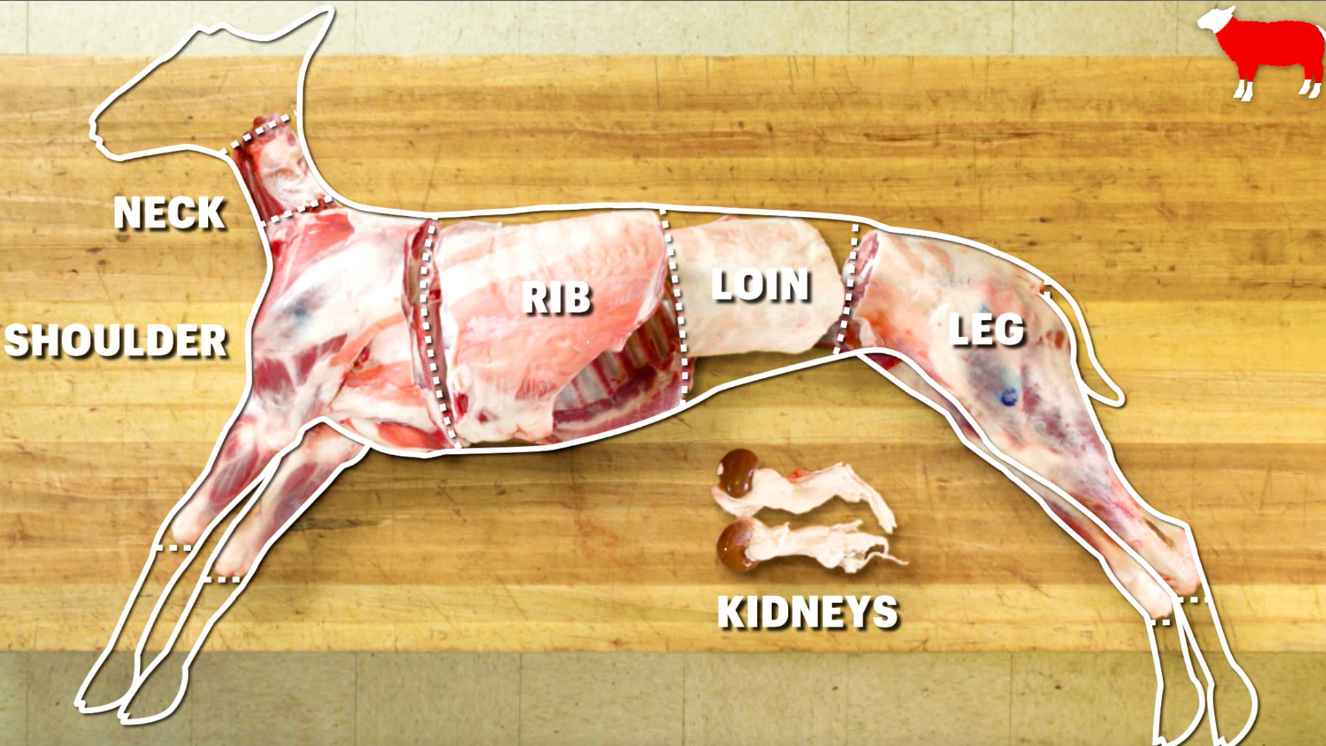 Bonappetit how to butcher an entire lamb every cut of meat explained