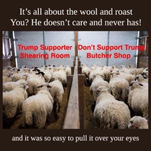 Woolandroast