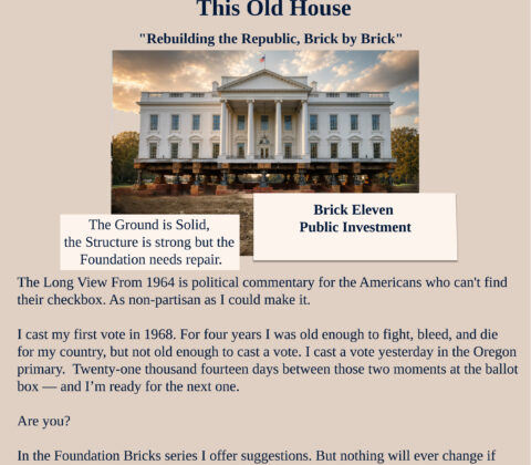 Brick Eleven Public Investment